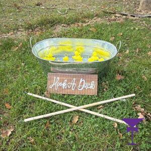Hook a Duck Garden Game for hire
