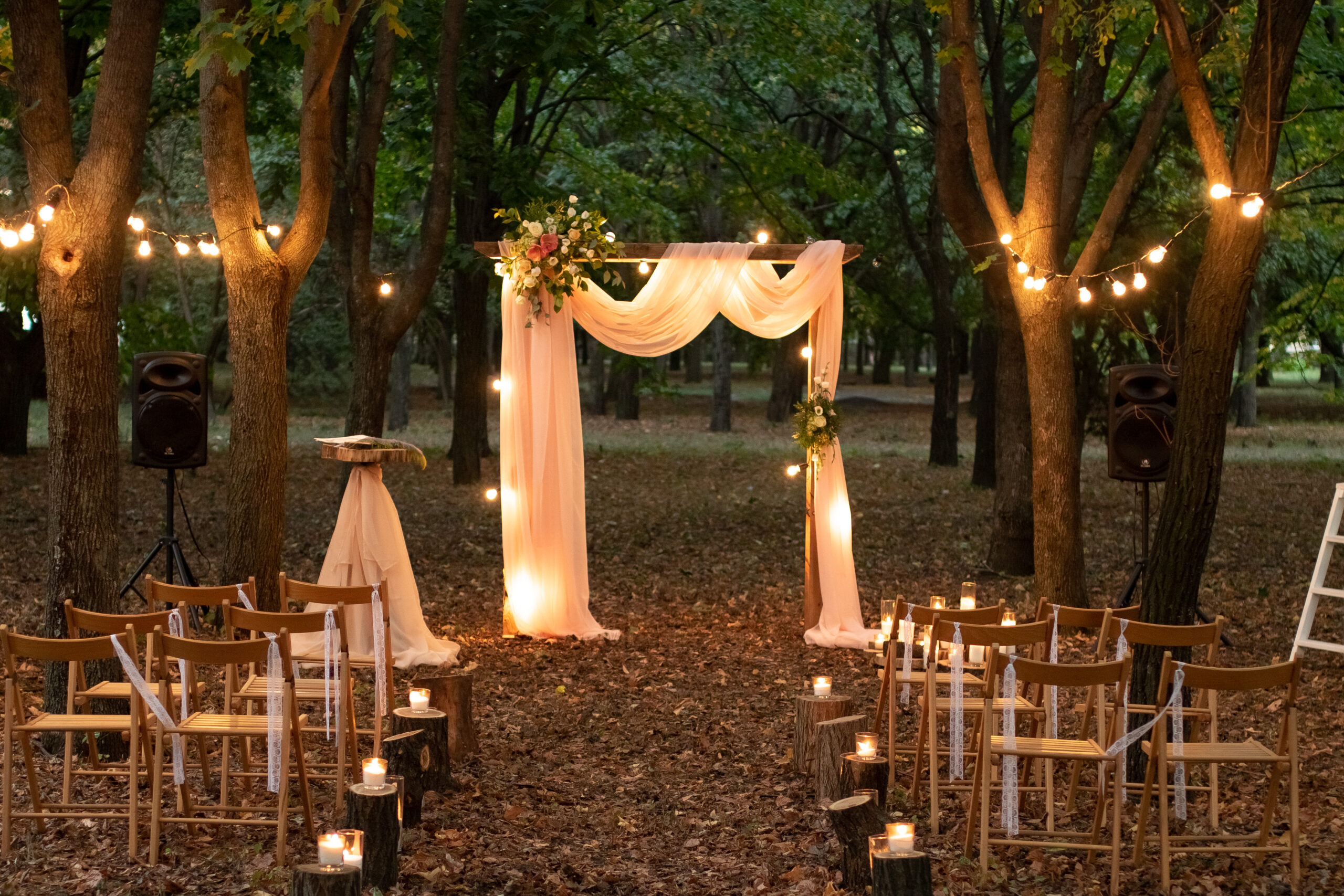 Wedding,Arch,In,The,Woods,With,Light,Bulbs.,Beautiful,Wedding
