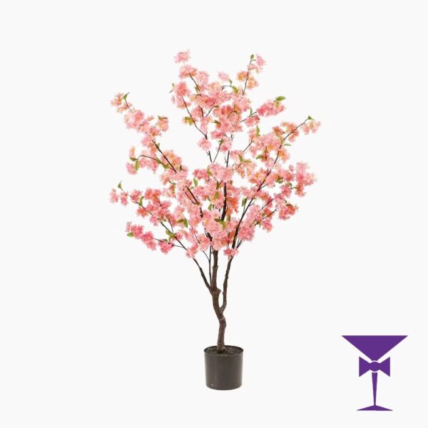 Cherry Blossom Tree