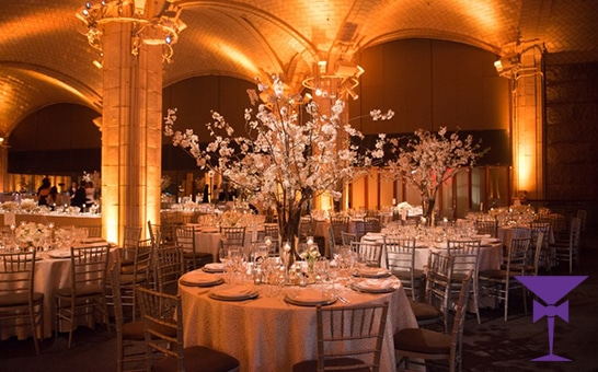 Luxury uplighting in use at a vaulted venue in Sussex