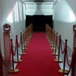 Hollywood themed party with VIP red carpet and spotlights to light entrance.