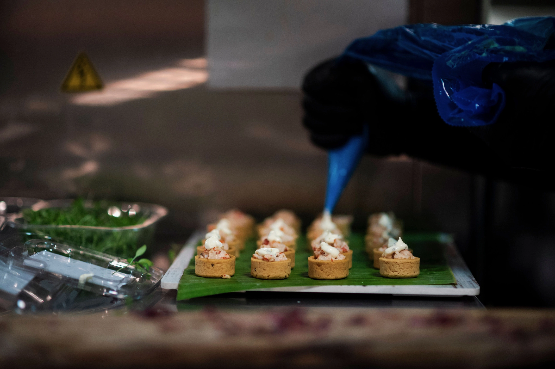 Close-up of gourmet appetisers and mini desserts arranged by a professional catering service