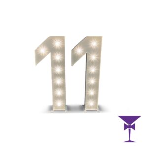 11-LED-Light-Up-Numbers-1.jpg