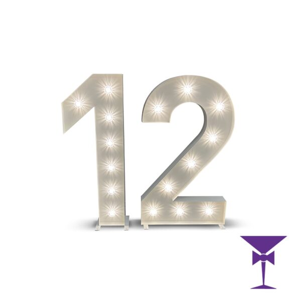 12-LED-Light-Up-Numbers-1.jpg