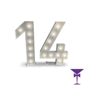 14-LED-Light-Up-Numbers-1.jpg
