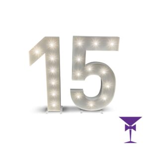 15-LED-Light-Up-Numbers-1.jpg