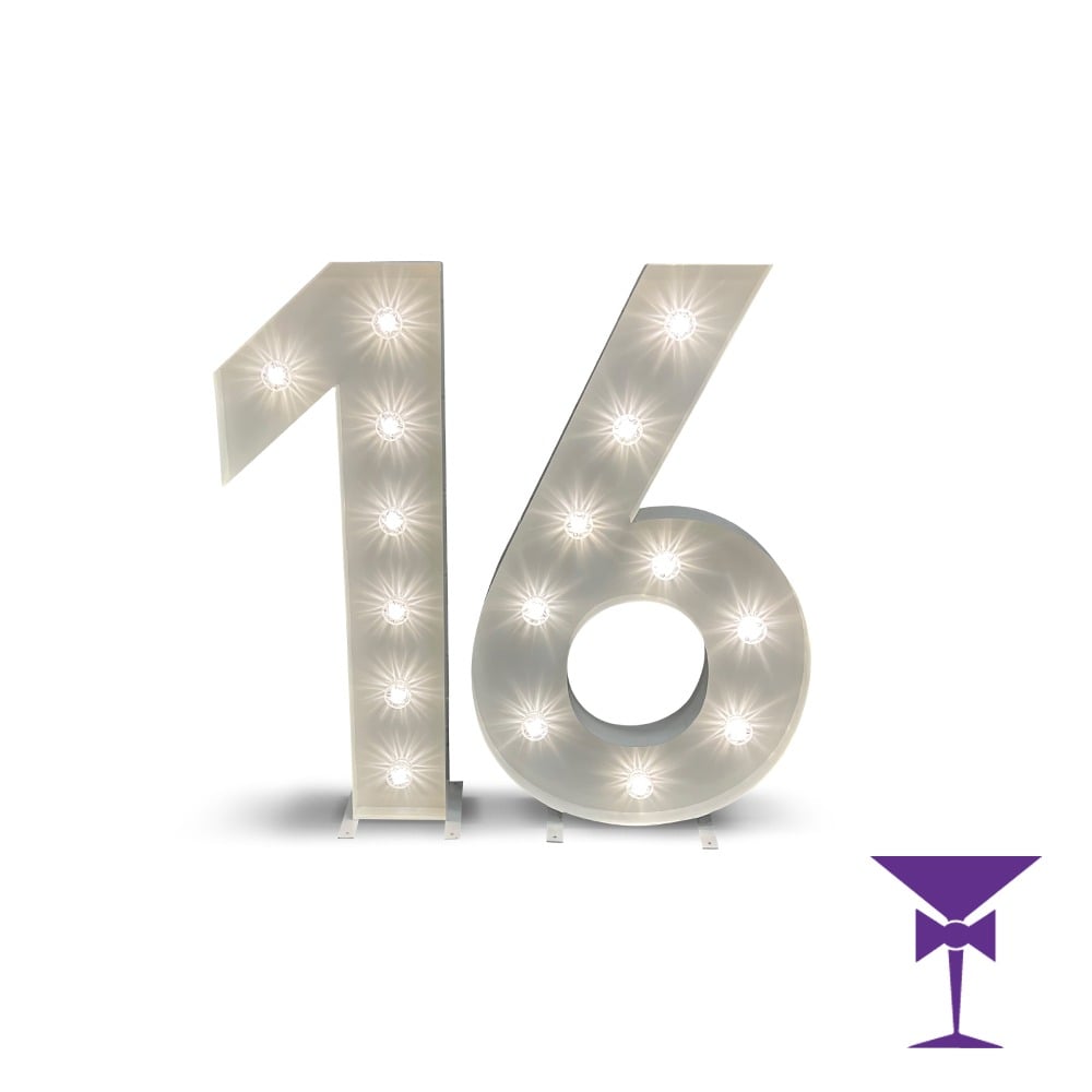 LED Light Up 16 Numbers for hire
