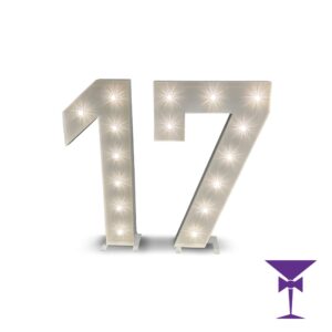 17-LED-Light-Up-Numbers-1.jpg