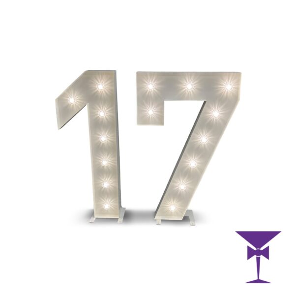17-LED-Light-Up-Numbers-1.jpg