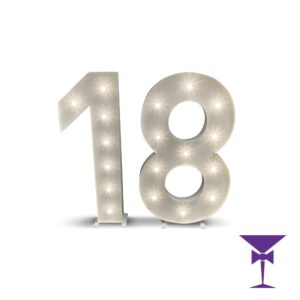 18-LED-Light-Up-Numbers-1.jpg
