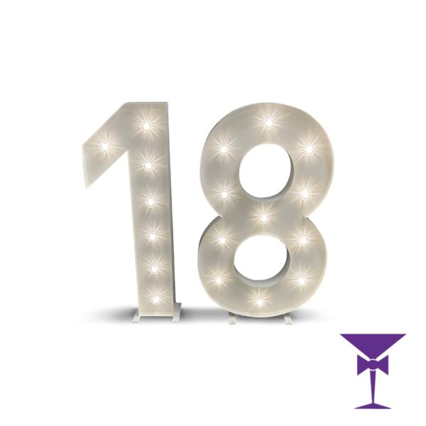 18-LED-Light-Up-Numbers-1.jpg