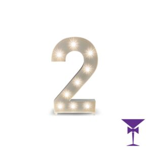 2-LED-Light-Up-Numbers-1.jpg
