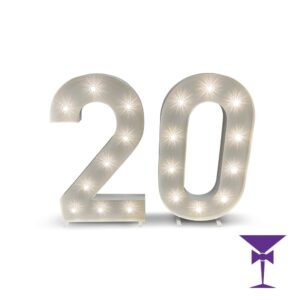 20-LED-Light-Up-Numbers-1.jpg