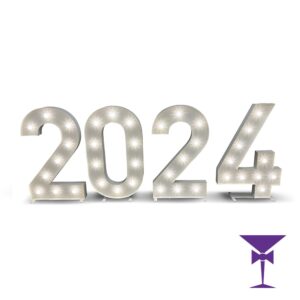 2024-LED-Light-Up-Numbers-1.jpg