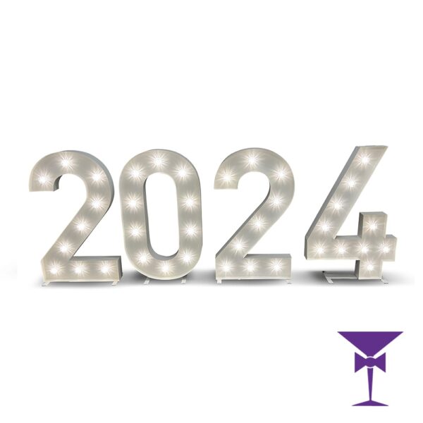 2024-LED-Light-Up-Numbers-1.jpg