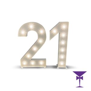21-LED-Light-Up-Numbers-1.jpg
