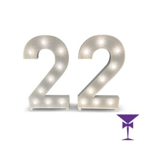 22-LED-Light-Up-Numbers-1.jpg