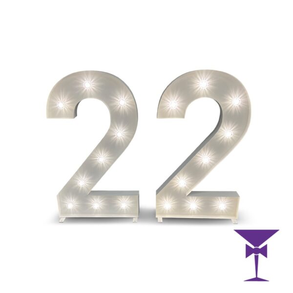 22-LED-Light-Up-Numbers-1.jpg