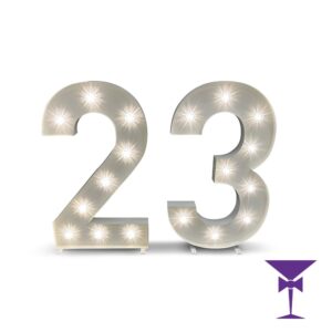 23-LED-Light-Up-Numbers-1.jpg