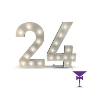 24-LED-Light-Up-Numbers-1.jpg