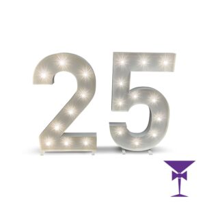 25-LED-Light-Up-Numbers-1.jpg