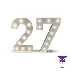 27-LED-Light-Up-Numbers-1.jpg