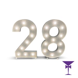 28-LED-Light-Up-Numbers-1.jpg