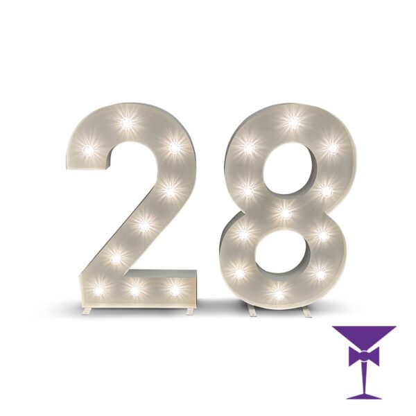 28-LED-Light-Up-Numbers-1.jpg
