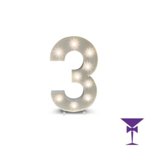 3-LED-Light-Up-Numbers-1.jpg