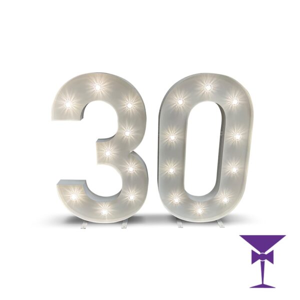 30-LED-Light-Up-Numbers-1.jpg