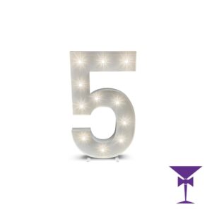 5-LED-Light-Up-Numbers-1.jpg