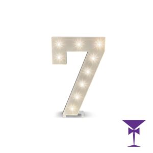 7-LED-Light-Up-Numbers-1.jpg