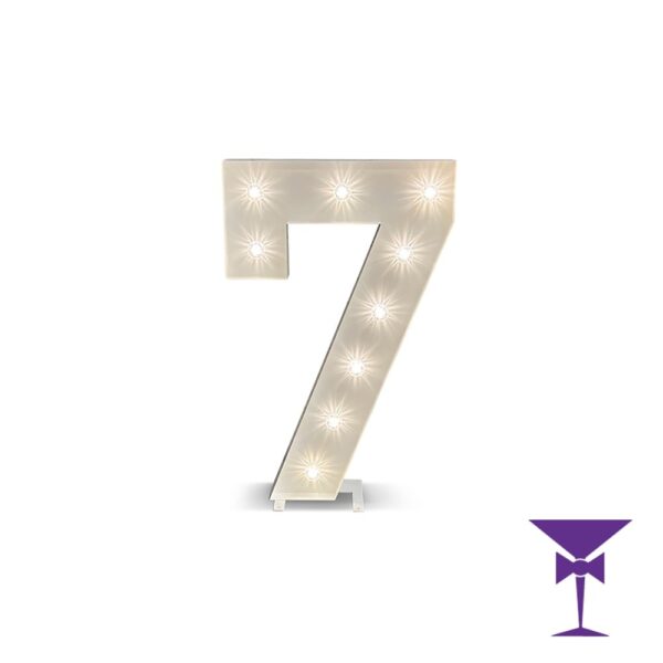 7-LED-Light-Up-Numbers-1.jpg