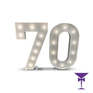 70-LED-Light-Up-Numbers-1.jpg