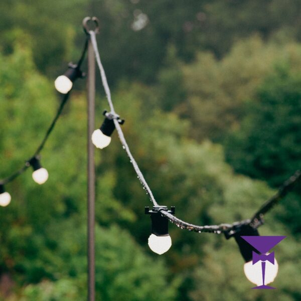 Festoon-Lighting-Pole-Hire-In-Use.jpg