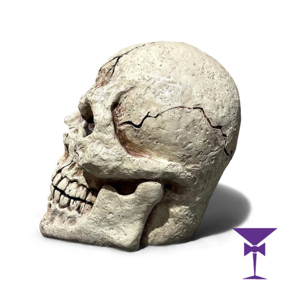 Giant Skull For Hire - Side View