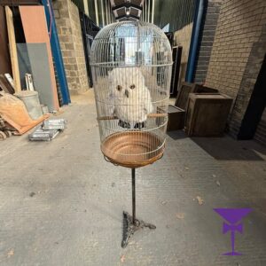 Hedwig-In-Birdcage-Hire-1.jpg