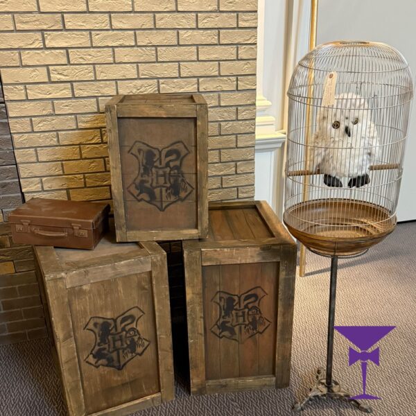 Hogwarts-Style-School-Crates-Owl-1.jpg