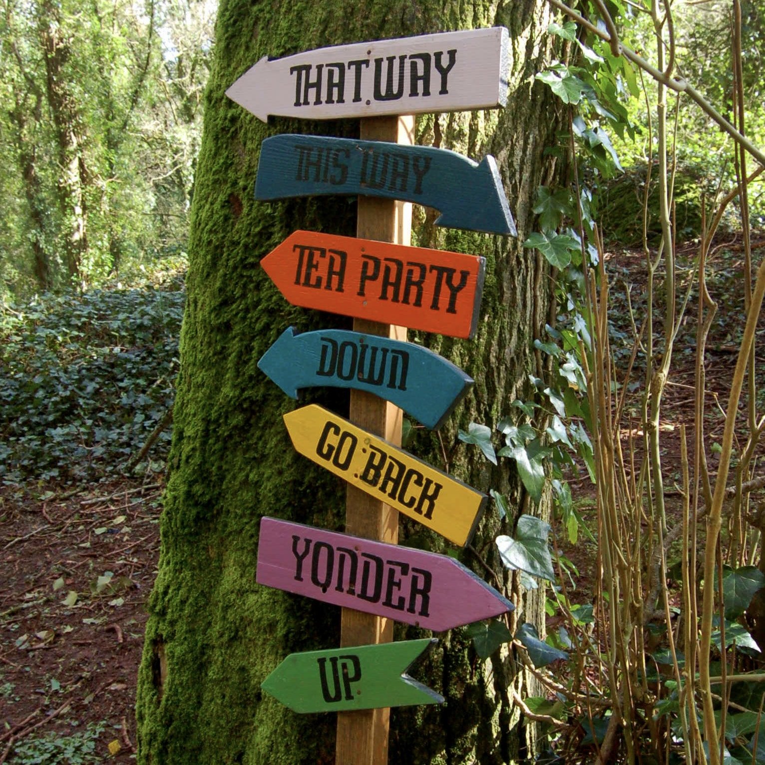 Alice In Wonderland This Way That Way Prop