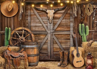 Western Wild West Themed Party