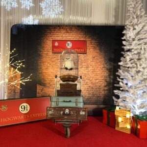 Harry Potter Christmas Platform 9 3/4 Backdrop Package With Props