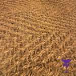 Coir Gazebo Flooring Hire